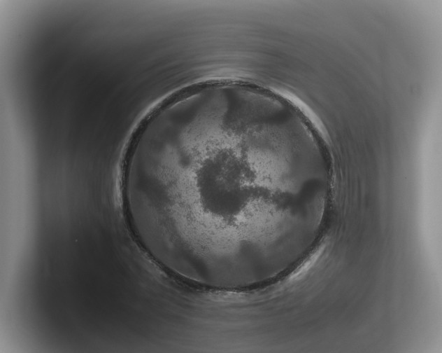 X0000102510783200808081409