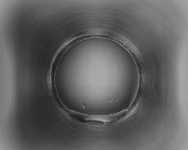 X0000102510784200808081409
