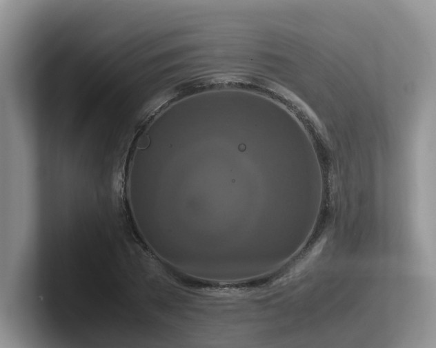 X0000102510785200808081409