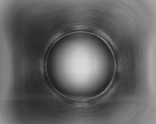 X0000102510786200808081409