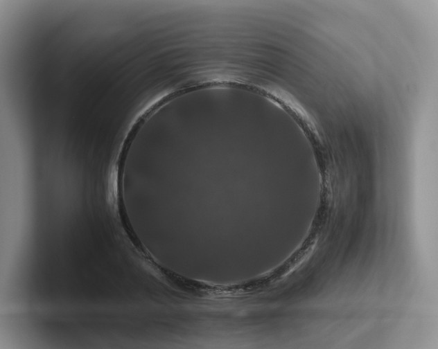 X0000102510790200808081409