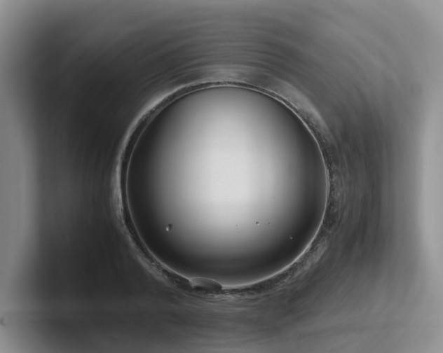 X0000102510792200808081409