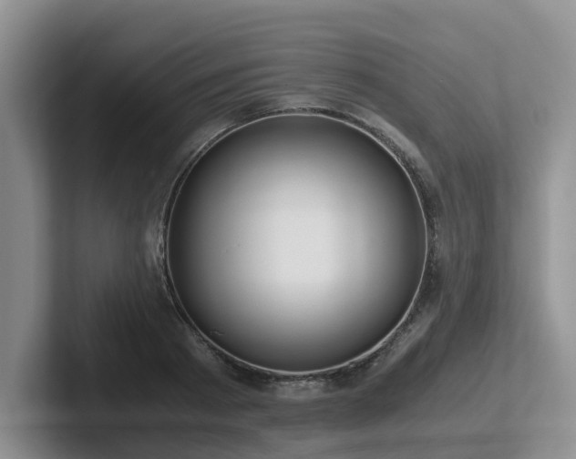 X0000102510793200808081409