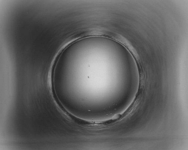 X0000102510795200808081409