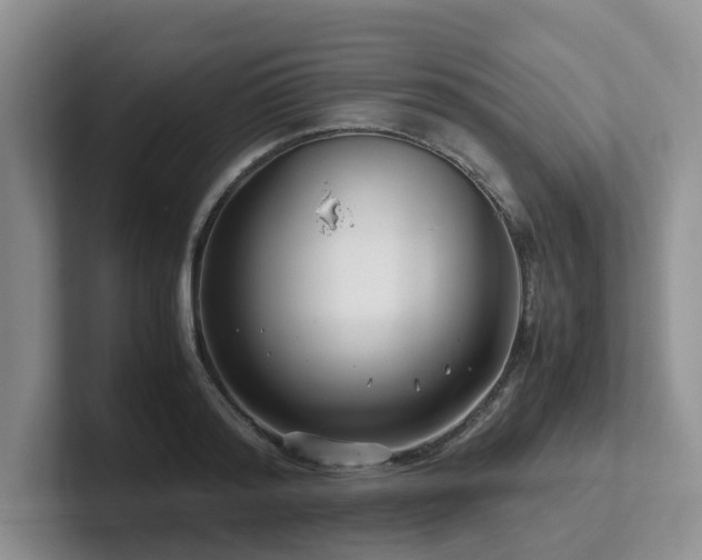 X0000102510796200808081409