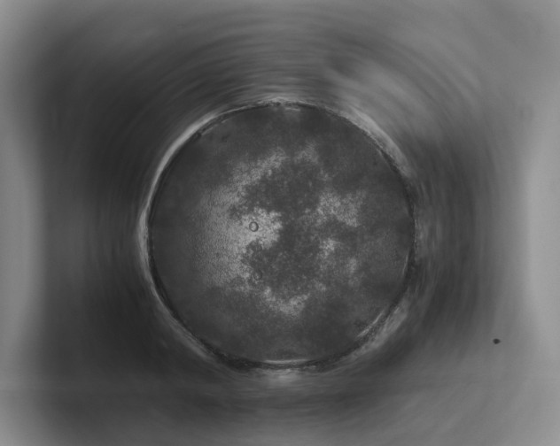 X0000102510798200808081409
