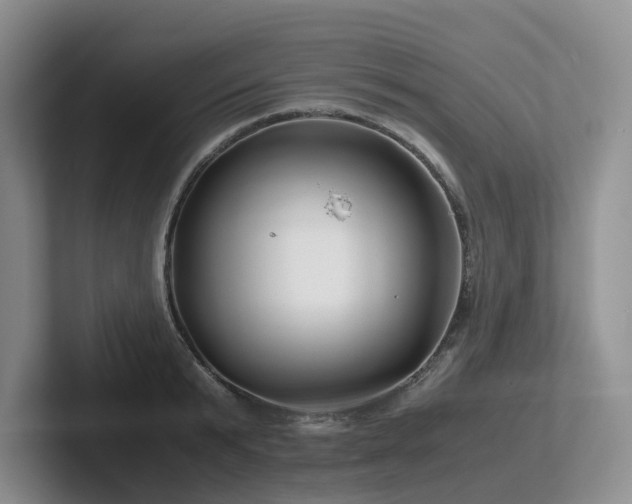 X0000102510799200808081409