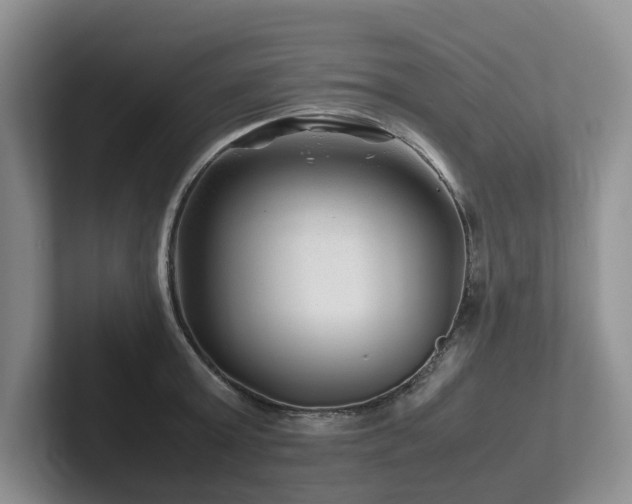 X0000102510803200808081409
