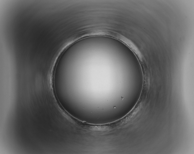 X0000102510805200808081409