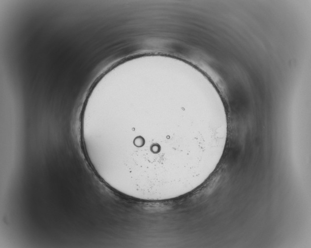 X0000102510807200808081409