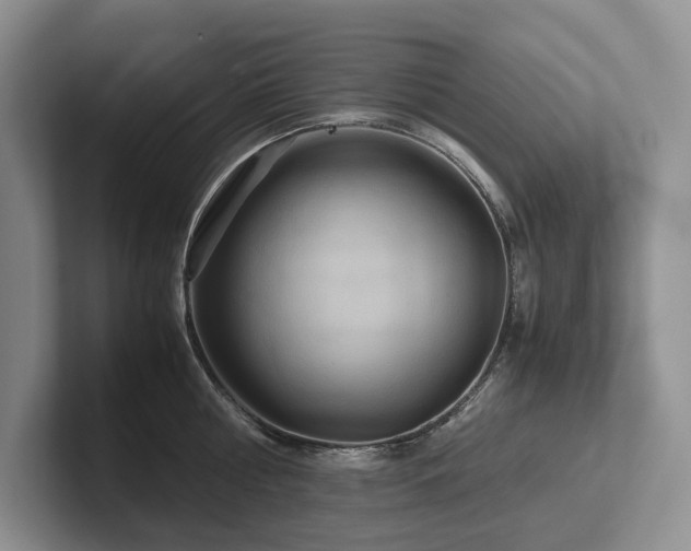X0000102510810200808081409