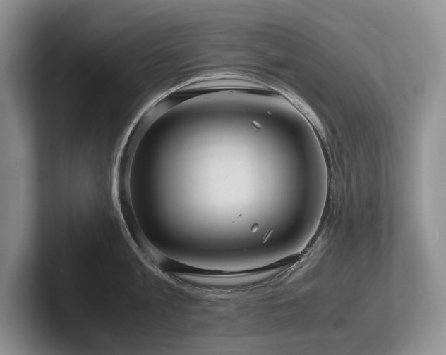 X0000102510813200808081409