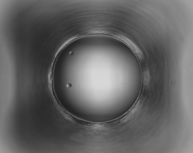 X0000102510814200808081409