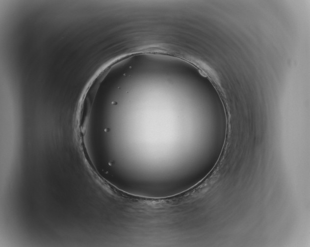 X0000102510816200808081409