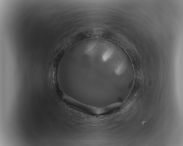 X0000102510818200808081408