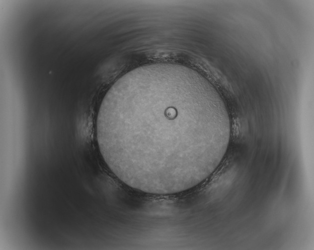 X0000102510820200808081408
