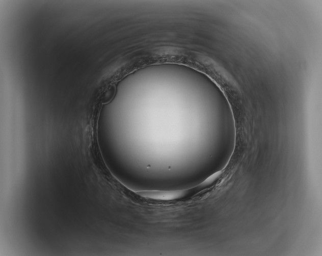 X0000102510821200808081408