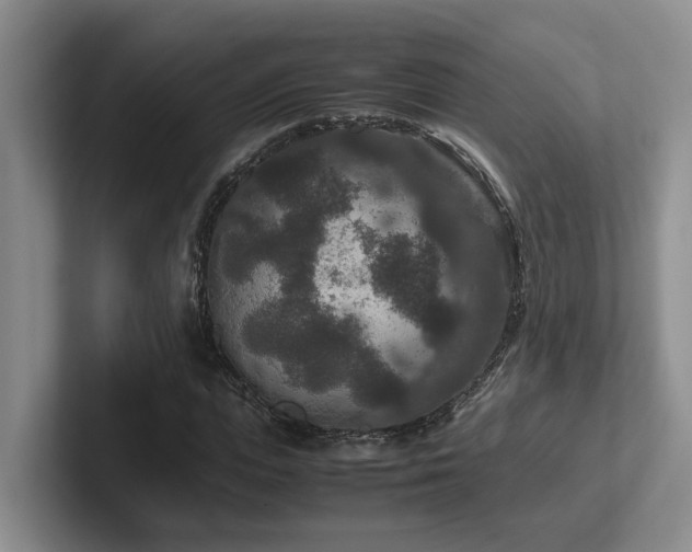 X0000102510823200808081408