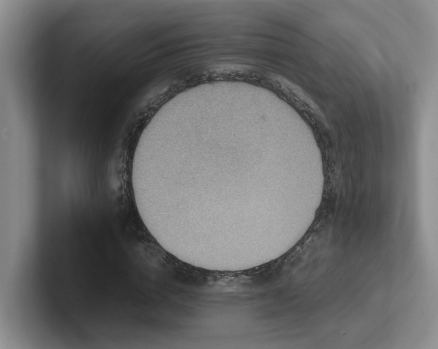 X0000102510824200808081408