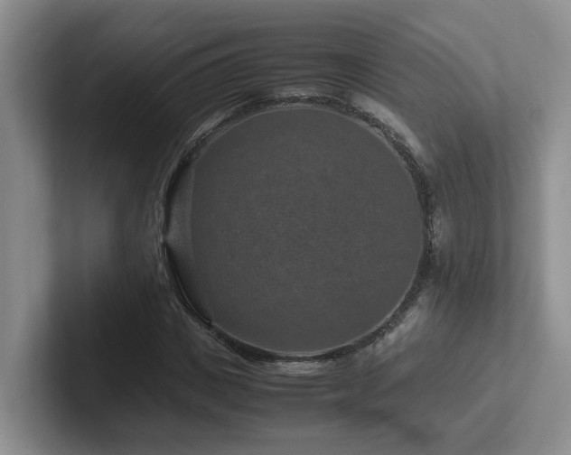 X0000102510825200808081408