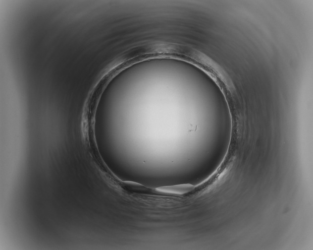 X0000102510827200808081408