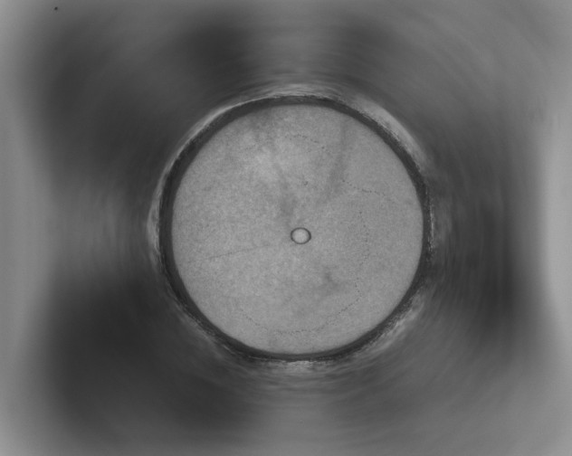 X0000102510828200808081408