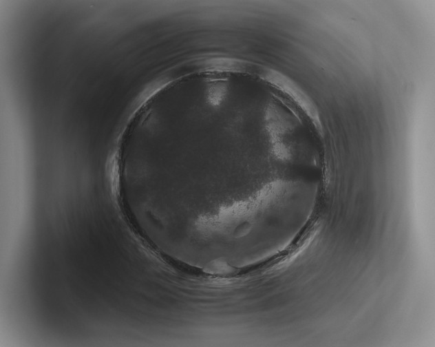 X0000102510829200808081408