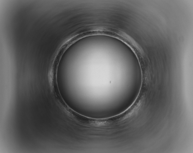 X0000102510831200808081408