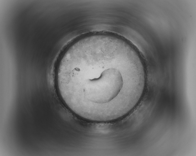 X0000102510832200808081408