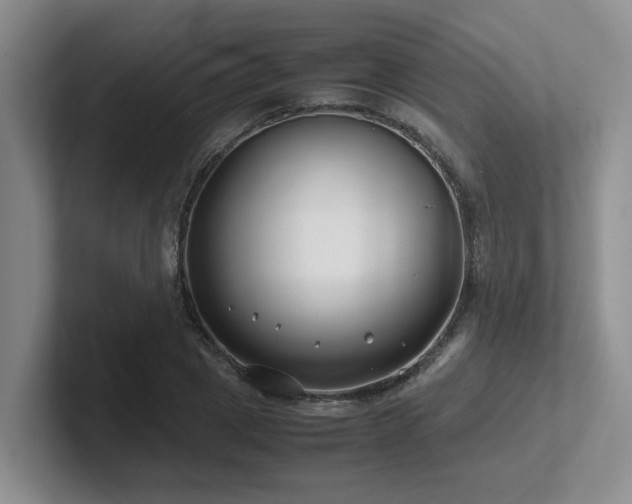 X0000102510833200808081408