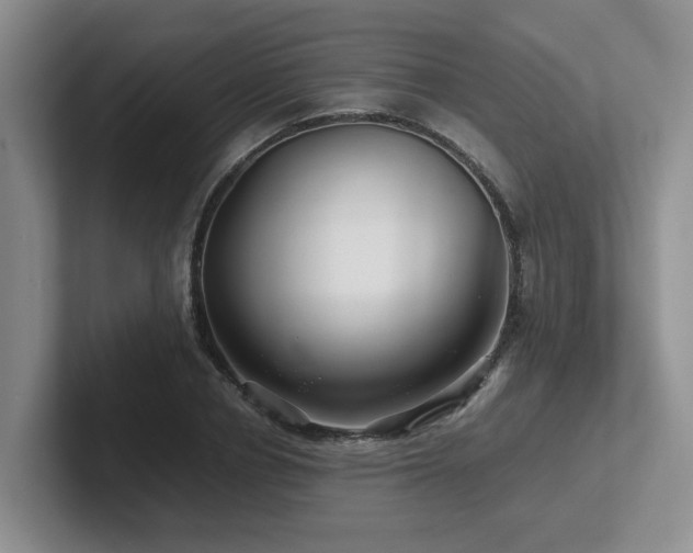 X0000102510834200808081408