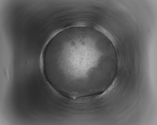 X0000102510835200808081408