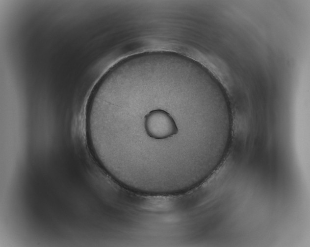 X0000102510836200808081408