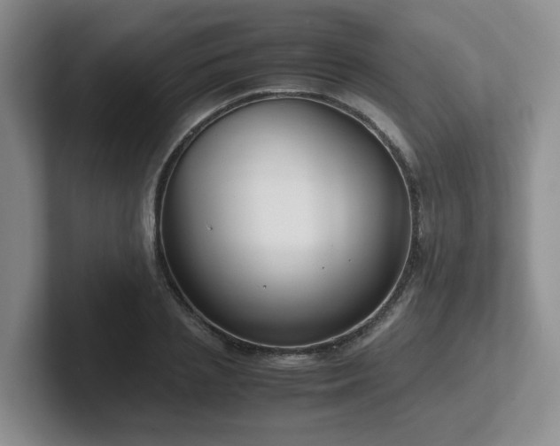 X0000102510837200808081408