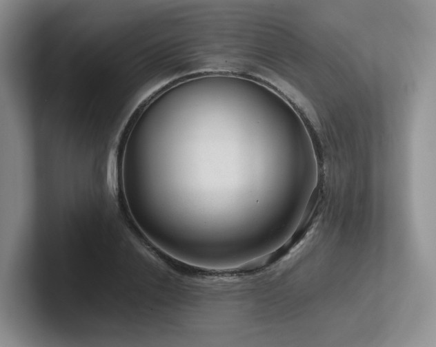 X0000102510838200808081408