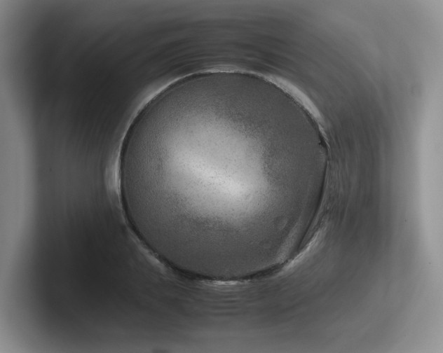 X0000102510839200808081408