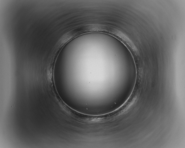 X0000102510841200808081408