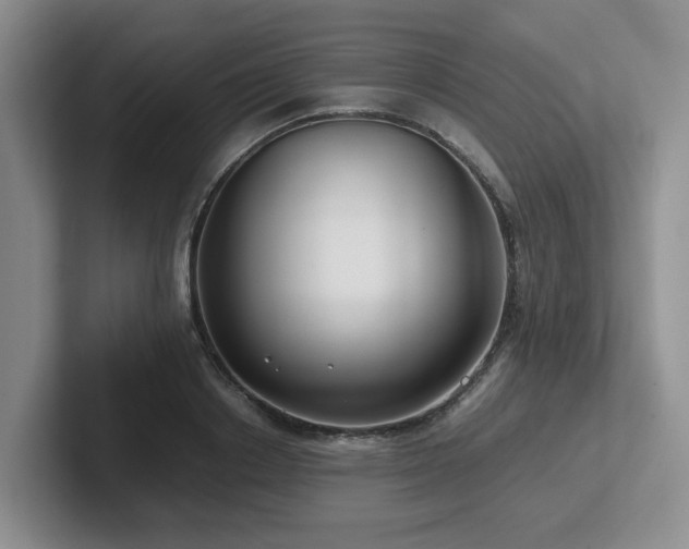 X0000102510842200808081408