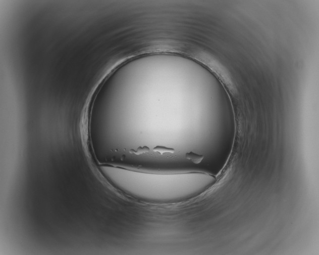 X0000102510844200808081408