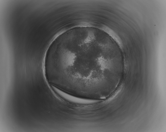 X0000102510845200808081408