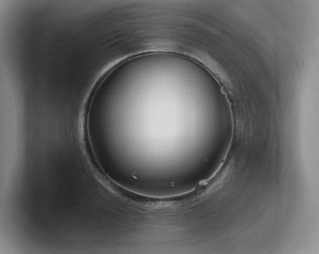 X0000102510846200808081408