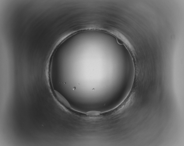 X0000102510847200808081408