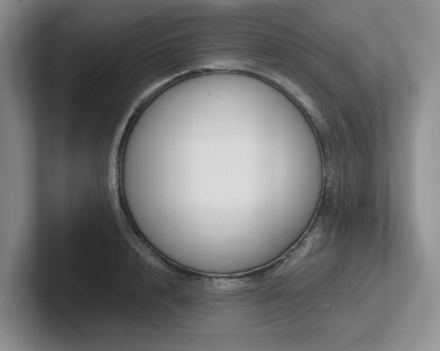 X0000102510848200808081408