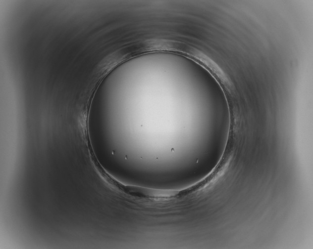 X0000102510849200808081408