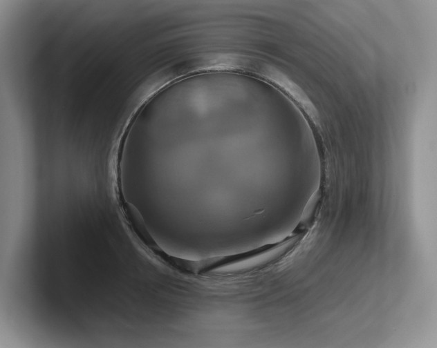 X0000102510850200808081408