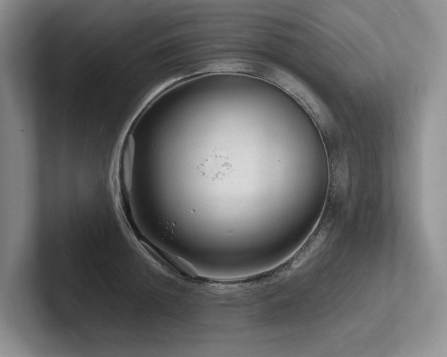 X0000102510852200808081408