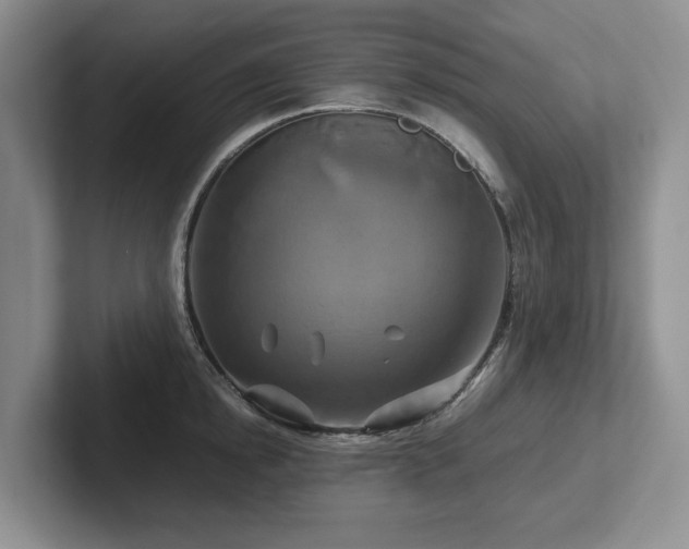 X0000102510854200808081408