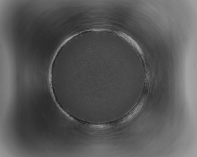 X0000102510855200808081408