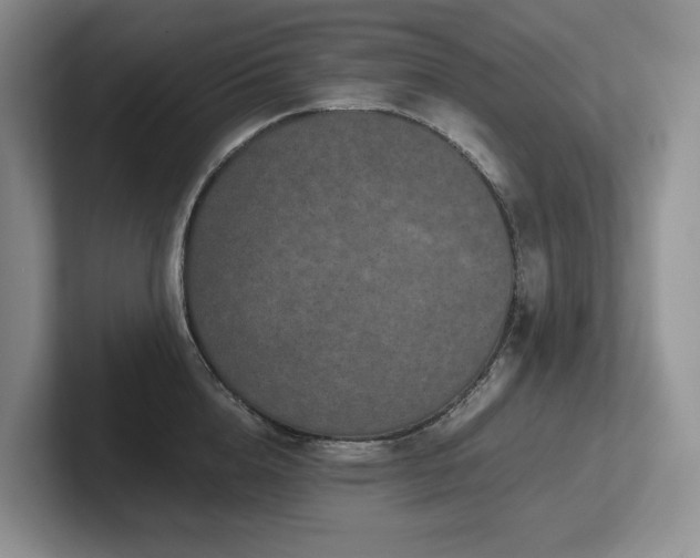X0000102510856200808081409
