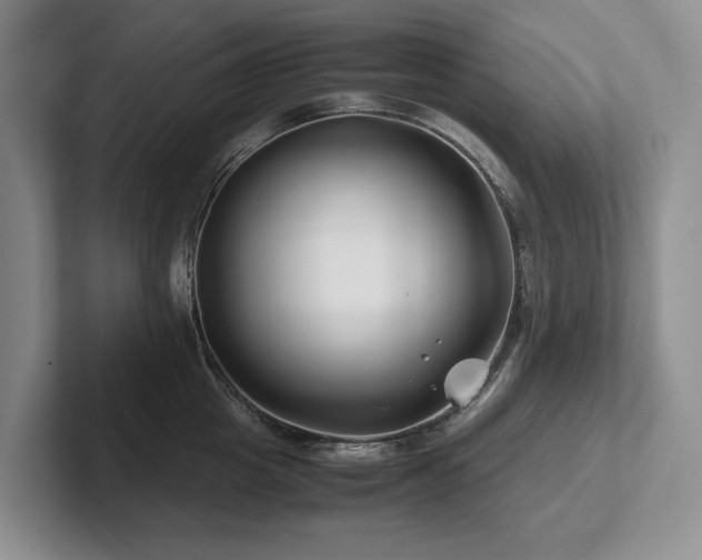 X0000102510857200808081409